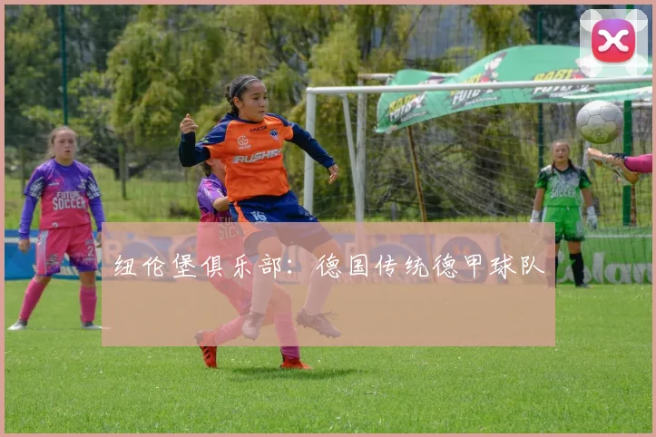 纽伦堡俱乐部：德国传统德甲球队