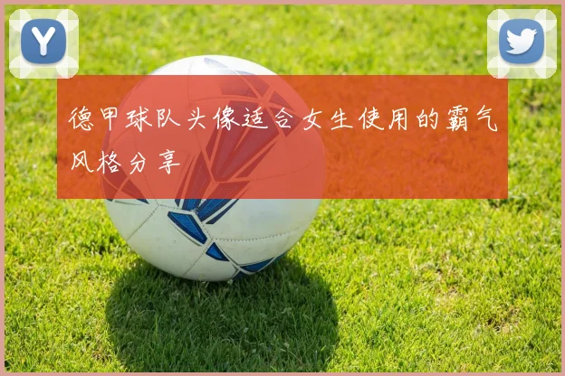 德甲球队头像适合女生使用的霸气风格分享